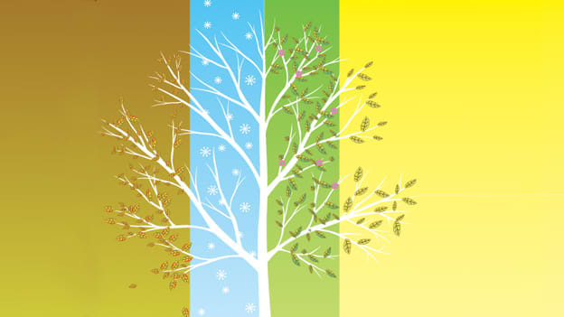 Article cover image