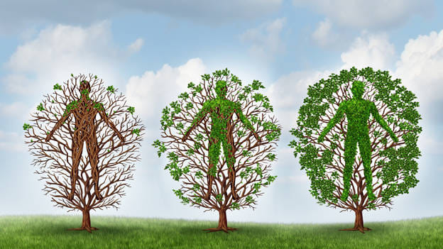 Article cover image