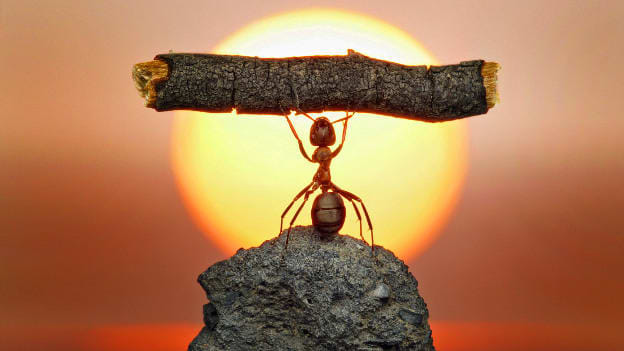 Article cover image