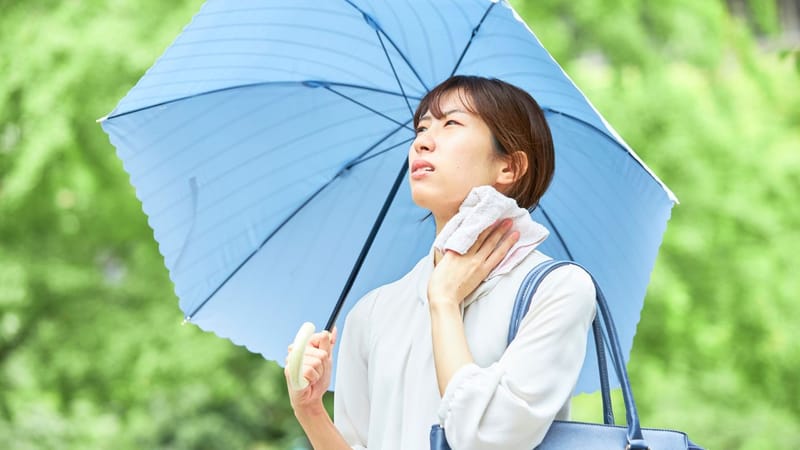 Article cover image