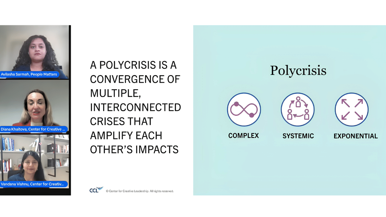Executive coaching in a polycrisis: Building leaders for what's next
