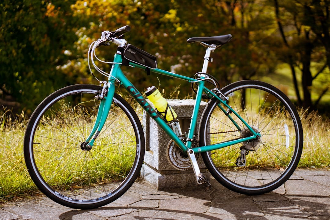 U.S. bans Giant bicycles over forced labor claims