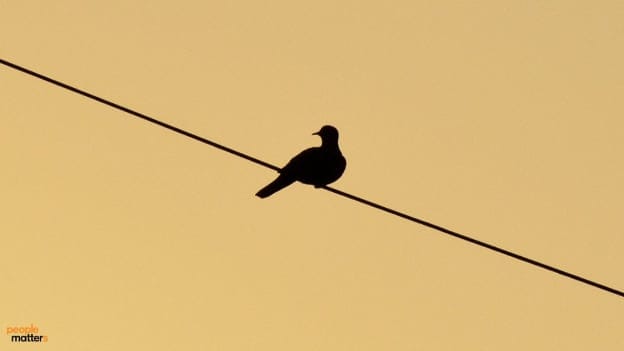 The loneliness epidemic: How to fight isolation in remote and hybrid workspaces