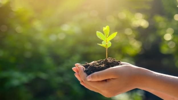 Just 5% of big UK firms have 'Credible' climate transition plans: EY