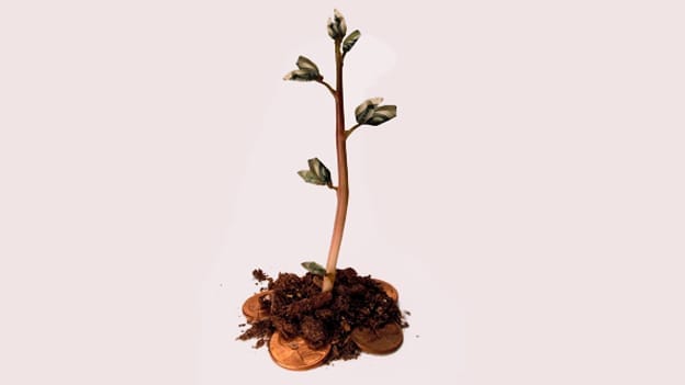 Article cover image