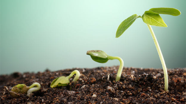 Article cover image
