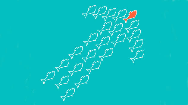 Who's Next: Qualities in Upcoming Leaders