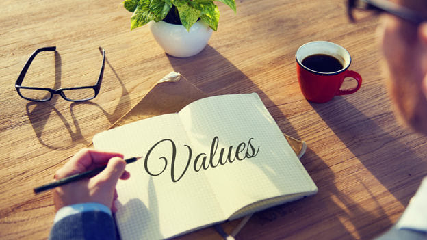 Do We Need Organizational Values?  