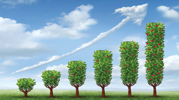 Article cover image