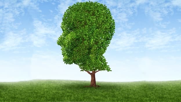 Article cover image