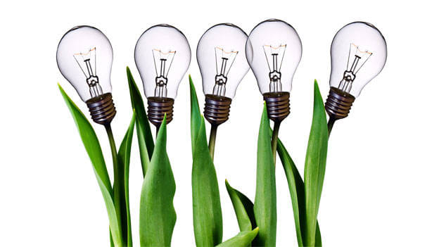 Entrepreneurship: Valued career choice in India