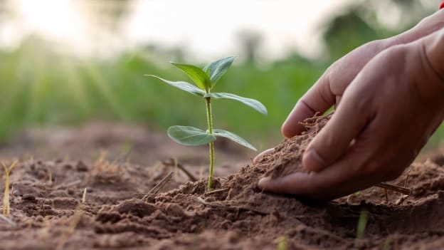Caring about your employees means caring about climate change