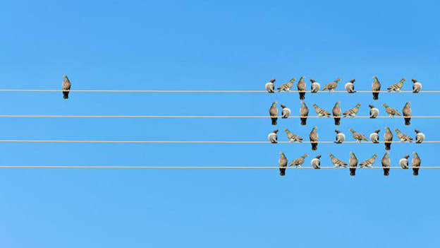 Driving business success through disruptive leadership
