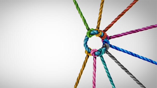 What makes a thriving workplace culture?