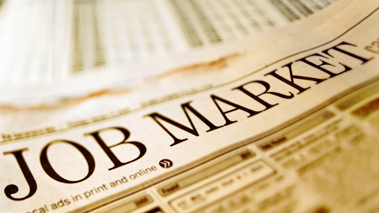 Unemployment slides to 4.7% in November, signalling steady job market recovery