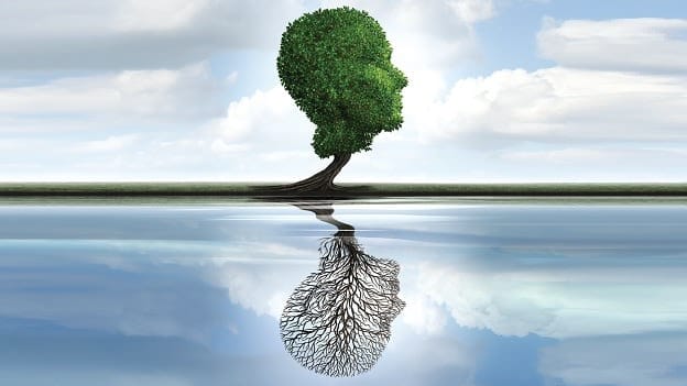 Rehumanizing workplace talent