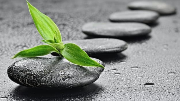 Wellness industry in India: What does the future hold?