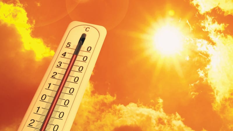 Punjab changes office hours after IMD warns of severe heatwave