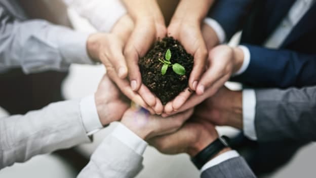 Why business leaders should act on climate
