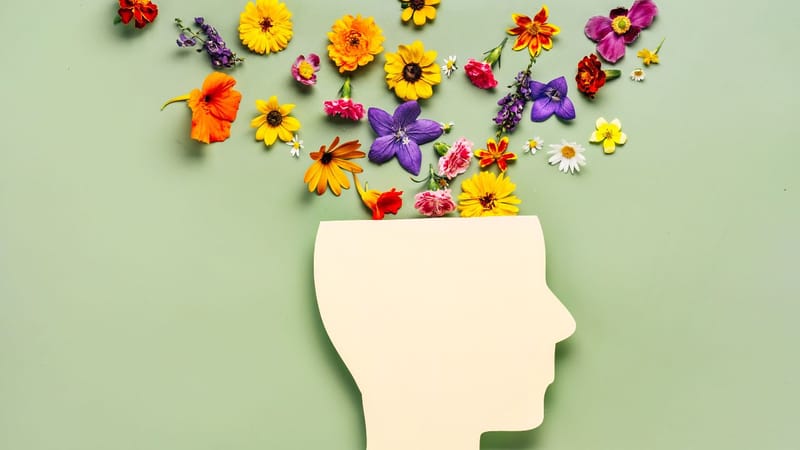 Article cover image