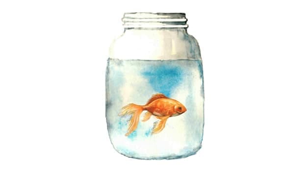Article cover image