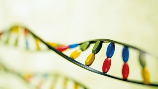 Healthcare & biotech showed maximum talent demand: TimesJobs RecruiteX