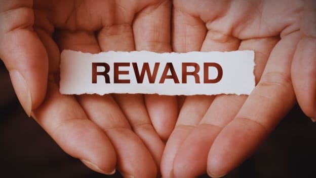 Over 50% New Zealand employees doubt fairness of workplace reward systems: Survey