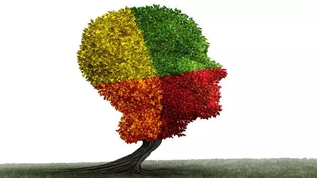 Which is more important: Professional Qualities or a Befitting Personality?