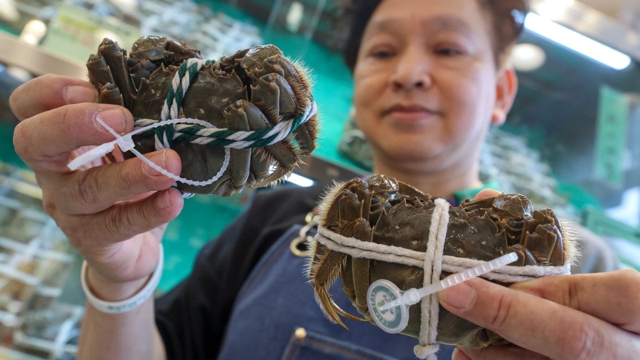 US crab ban triggers layoffs in Philippines seafood industry