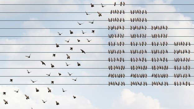 Article cover image
