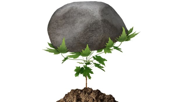 Article cover image