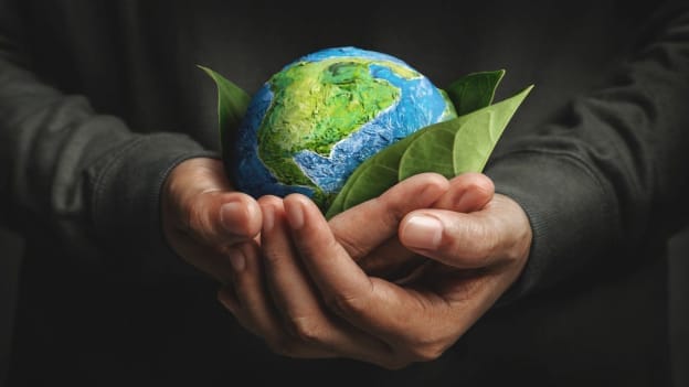 This leadership role to face major shift with rise of sustainability initiatives