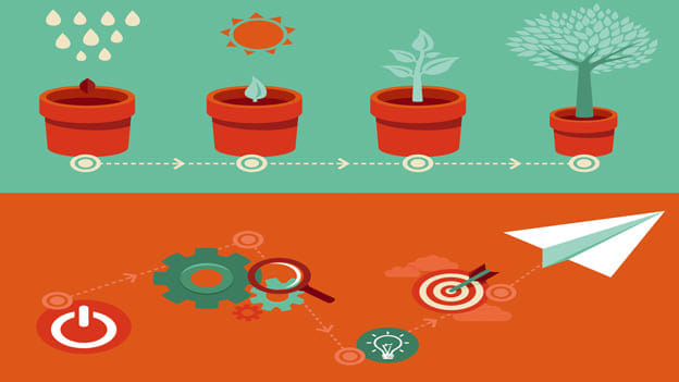 Evolution of High Potential Process across Organizations in India