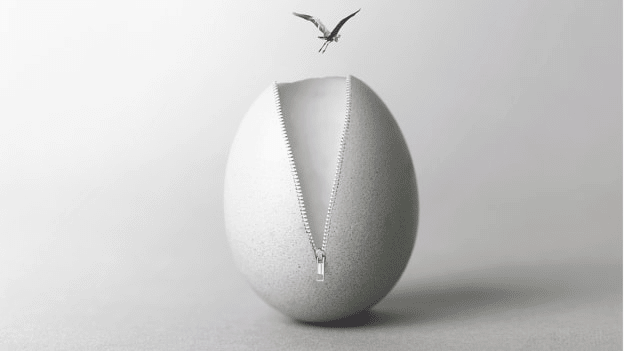 Article cover image