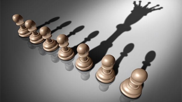 Leading Without Authority - From authoritative to Gardener leader