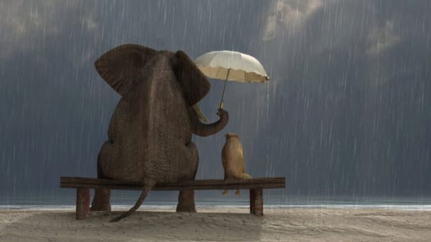 What will be your one kind deed today?