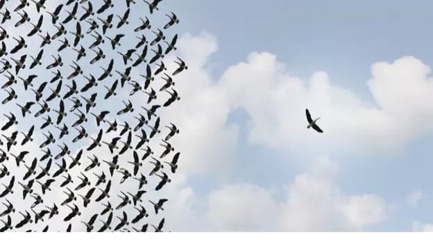 What leaders do differently to thrive and grow? 