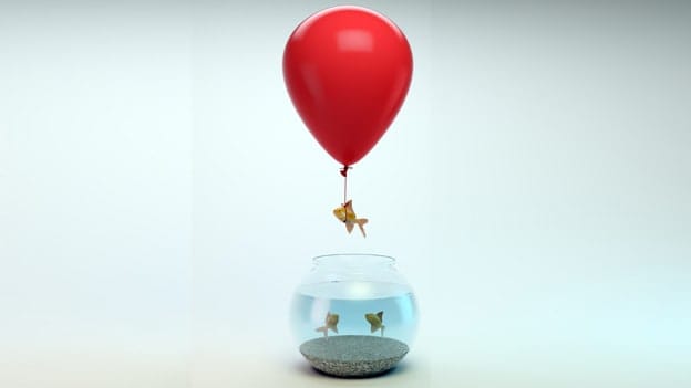 Build a robust HiPo Program in just 3 steps