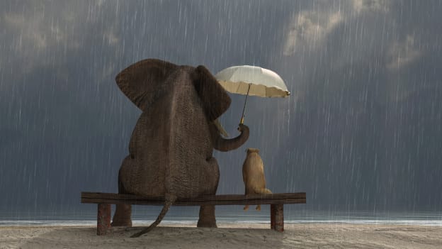 'Altruistic Advantage': Why giving back to the community is good for your business