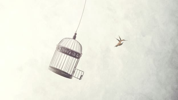 Breaking free from the old and welcoming the new!