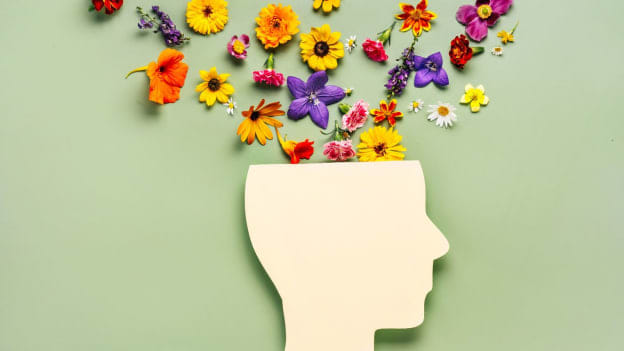 Article cover image