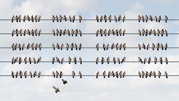 Expert opinion: Top team alignment is fuel for a fit team