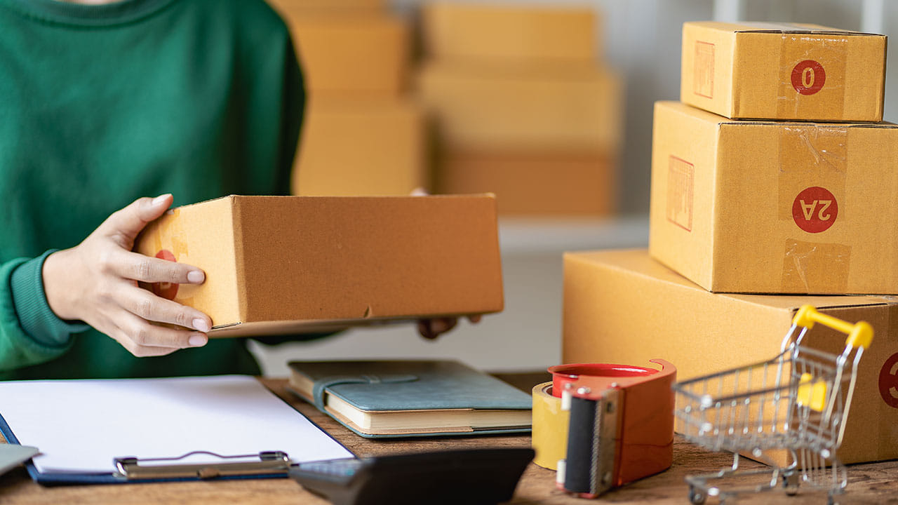 Balancing Agility and Compliance: HR Challenges in Scaling SMEs in India
