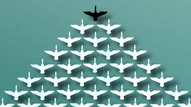 Article cover image