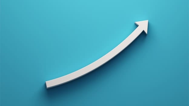 Employment growth for Singaporeans slowed slightly in 2019