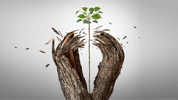 Article cover image