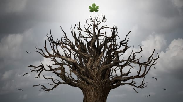 10 key strategies for building resilient organisations