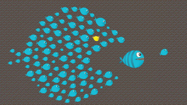 Small is the new BIG - Good practices Corporates can imbibe from SME's