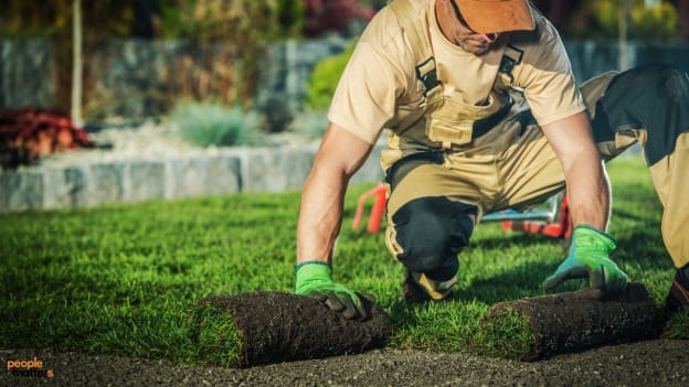 How green skills can sprout up your career prospects