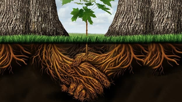 Why organisations must strive to build high-trust culture?